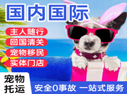 榆林榆阳航空运输国际宠物托运 【国